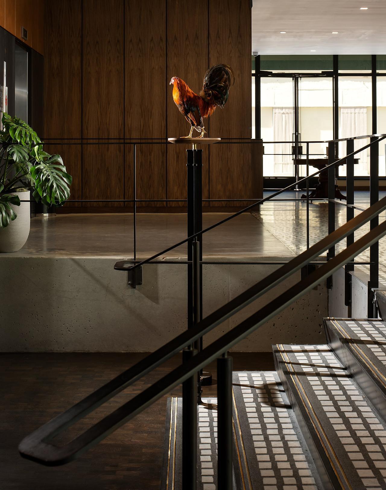 Hotel Haya 탬파 외부 사진
